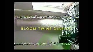 Bloom Twins Diaries 2020 - Episode 1 [How to write a song]