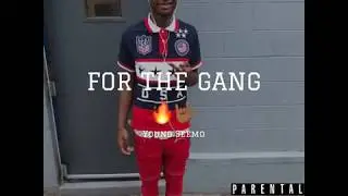 Young Seemo - FOR THE GANG
