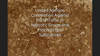 United Nations Convention Against Illicit Traffic in Narcotic Drugs and Psychotropic Substances