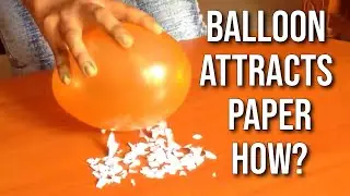 Electrostatic force  Experiment - Bits of Paper are attracted to the balloon | Static electricity