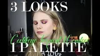 | 3 Looks 1 Palette | Certifeye Tropical Wonders | + Review |