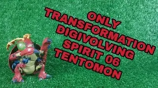 Digivolving Spirit 06 Tentomon/Atlurkabuterimon (Mega Kabuterimon) Only Transformation