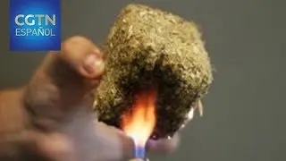 Crean un revolucionario material sostenible de construcci&oacute;n a partir de cereal