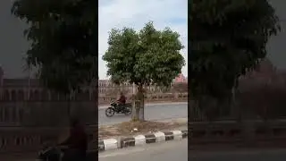 Khalsa college❤️&zwj;🔥🔥. Subscribe for more❤️&zwj;🩹🙏. #amritsar #trending #khalsacollegeamritsar #shorts