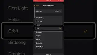 Iphone All Sleep | Wake Up alarms