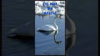 Prayer For Courage