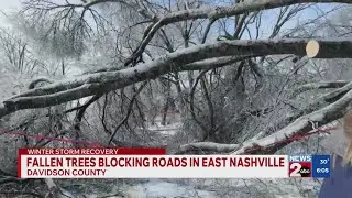 Fallen trees blocking roads in East Nashville, TN