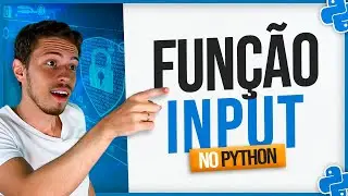 Função Input no Python - Pedindo Informações, Inclusive Senhas