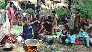 Nomadic Lifestyle | Nomads Special Tea Party | Nomadic Lifestyle Of Pakistan