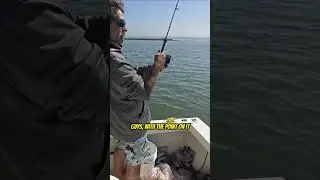 Fishing the Back Bay in San Diego with Captain Al Clowers!