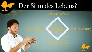 Sinn des Lebens - 4 Fragen zu deinem wahren Ich