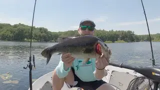 Swimbait Chronicles: The Reality of Throwing Big Baits