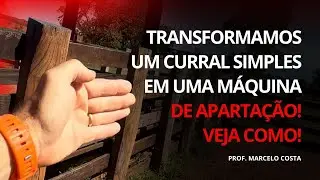 TRANSFORMAMOS UM CURRAL SIMPLES EM UMA MÁQUINA DE APARTAÇÃO! VEJA COMO! | PROF. MARCELO COSTA