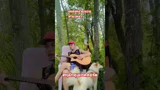 เพลงหงายหอยหายเหงา #ทุลักทุเลเรคคอร์ด #CreativeCovers #InnovativeInterpretations 🎵🎤 #MusicMastery