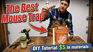 The Best Mouse Trap - how to build for $5
