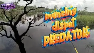 Fishing in predator spots