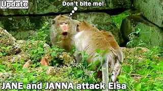 JANE get bad feel! JANE hart warn attacking Elsa chase away with JANNA try help mom JANE too