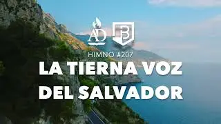 #207 | La tierna voz del Salvador (Él tiene toda potestad/El gran médico) - Hno Mizraim Celada 🇵🇪