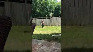 Adorable toddler plays fetch with dog despite backyard fence