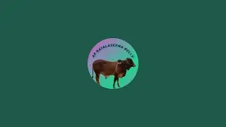 AP RAYALASEEMA BULLS THIDUR 1 JATHA