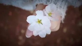 Liability - Lorde (cover by Blume)