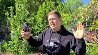 Six Year Food Forest Spring Update; Part 2