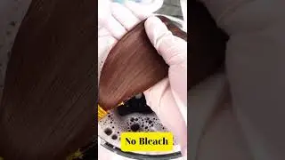Discover Chestnut Brown Hair Dye Shampoo Without Bleach #nobleach #hairtok