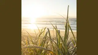 Summer Breeze