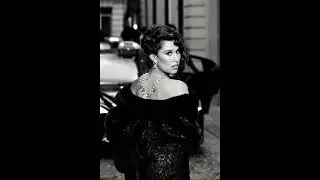 [FREE] RAYE Type beat - Dreams | Adult Contemporary