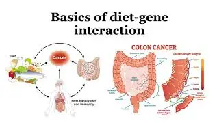 Basics of diet-gene interaction