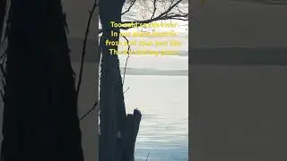 Lake was frozen too cold soon this area is just like ice skating place#frozen #viral #belike #short