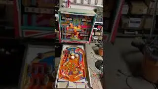 1974 Playmatic Harem pinball machine