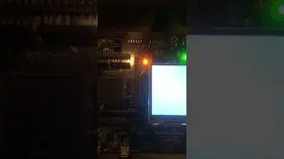 DOG in Morse Code SK-S7G2