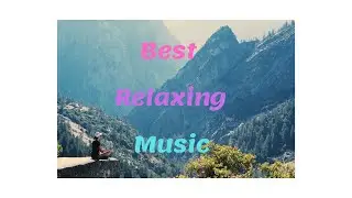 Winter forest.Soothing music for study, work, rest, sleep and meditation.