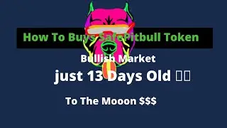 How to Buys 🚀$SafePitbull, 🌝 1196 Holders, Bullish , 100% Community Driven!and just 13 Days Old 🚀🚀🚀