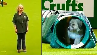 Ozzy Man Reviews: Kratu - The Goodest Boy Ever
