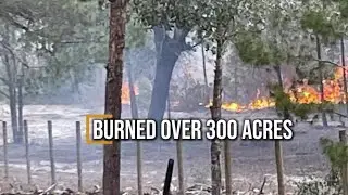 Putnam County had 12 fires in 1 week | Florida Forest Service says a lack of hurricanes could be why