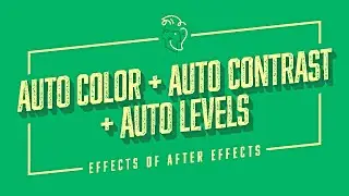 Auto Color + Auto Contrast + Auto Levels | Effects of After Effects