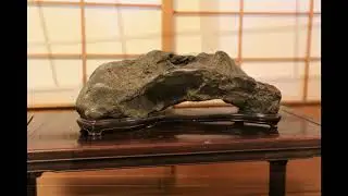 九十九水石同人　第５５回水石展　2023.6.3-4
