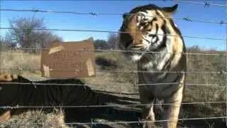 Nat Geo WILD: Cause an Uproar 