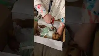 BOX OPENING Clementine Needs A Cuddle #ashtondrake #clementineneedsacuddle #monkeydolls #boxopening