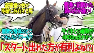 テリオスベル ← 我に返った如く初年度スタート上手のお婿さん貰うの好き…に対するみんなの反応！【競馬 の反応集】