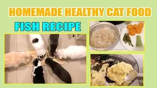 HOMEMADE CAT FOOD II FISH RECIPE II LOTS OF BENEFITS II SHOUTOUT II CATROPA