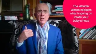 The Story Behind The Wonder Weeks-  Frans X. Plooij