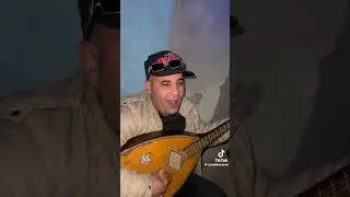 chikh salm