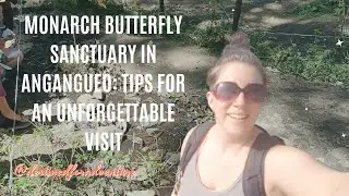 Monarch Butterfly Sanctuary in Angangueo: Tips for an Unforgettable Visit