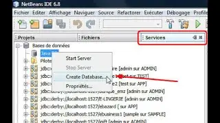 How to integrate a database into your NETBEANS (JAVA) project