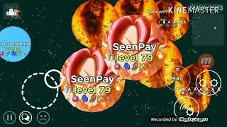 MITOSIS THE GAME !!!! INSANE GLUES SPLIT !!!!!! BIG GLUE SPLIT !!!!!