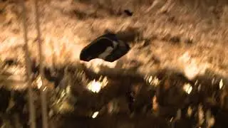 David Cusanelli Base Jump - Grotta Gigante slowmotion