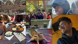 A Birthday Party At Pushkar : Food & Forest | A Daily Life Vlog